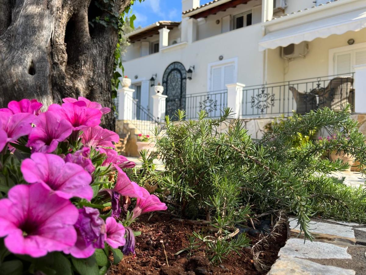 Villa Ampelaki "30 Meters To Beach" Paleokastritsa Exterior photo